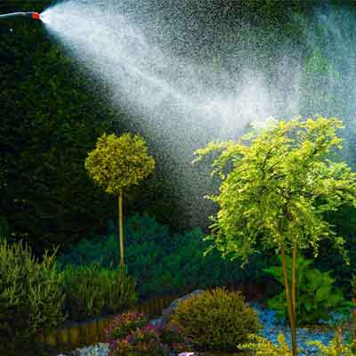 Bio Green Natural Lawn Care in Indianpolis Indiana