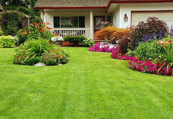 Bio Green Indy Natural Lawncare in Indiana