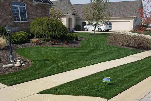 Bio Green Natural lawn fertilization