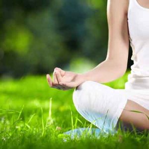 Bio Green Fertilization redefined! Natural lawn care
